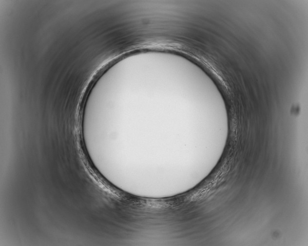 X0000101110848200806261107
