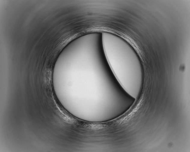 X0000101110849200806261107