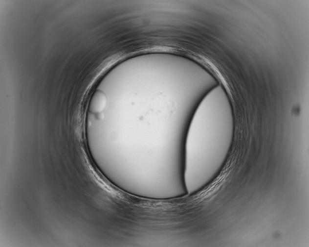 X0000101110851200806261107