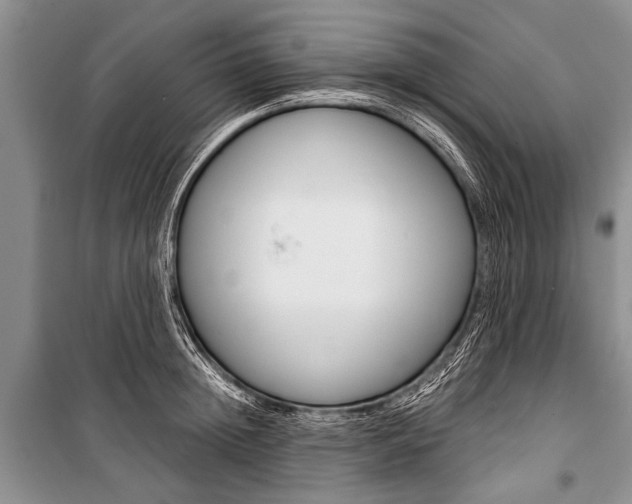 X0000101110852200806261107