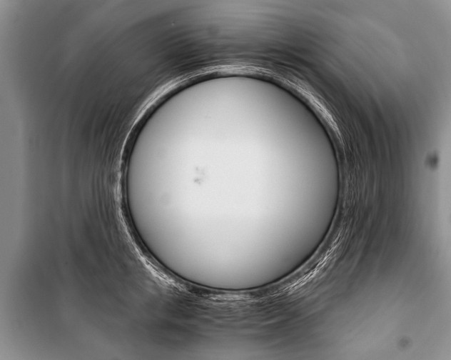 X0000101110853200806261107