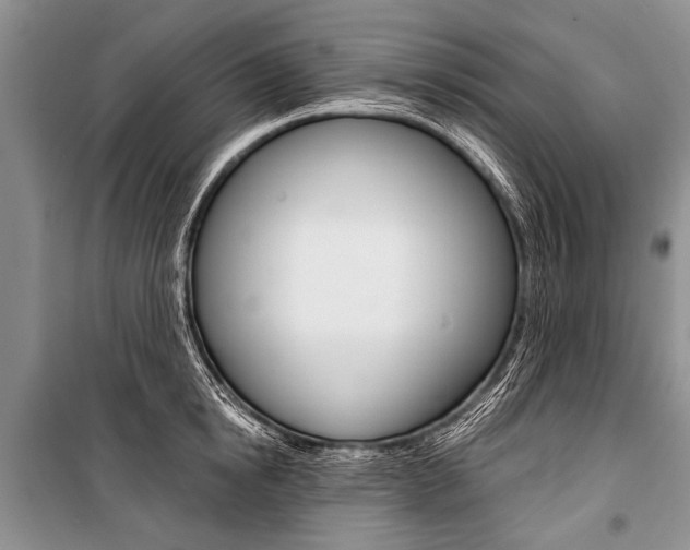 X0000101110854200806261107