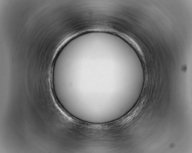 X0000101110855200806261107
