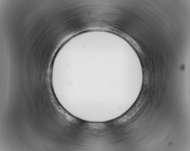 X0000101110856200806261107
