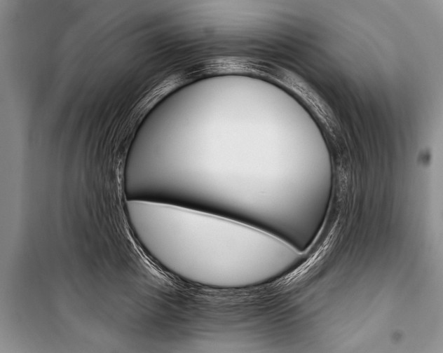 X0000101110857200806261107