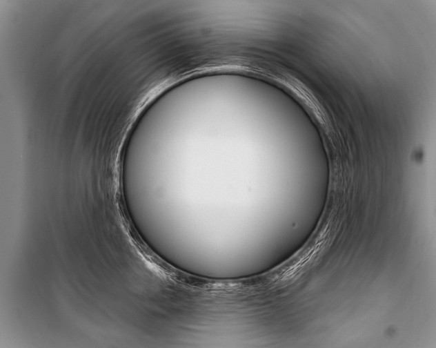 X0000101110858200806261107