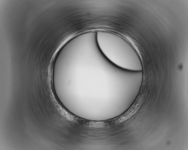 X0000101110859200806261107