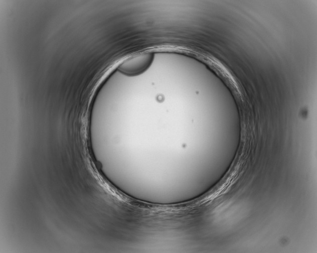 X0000101110860200806261107