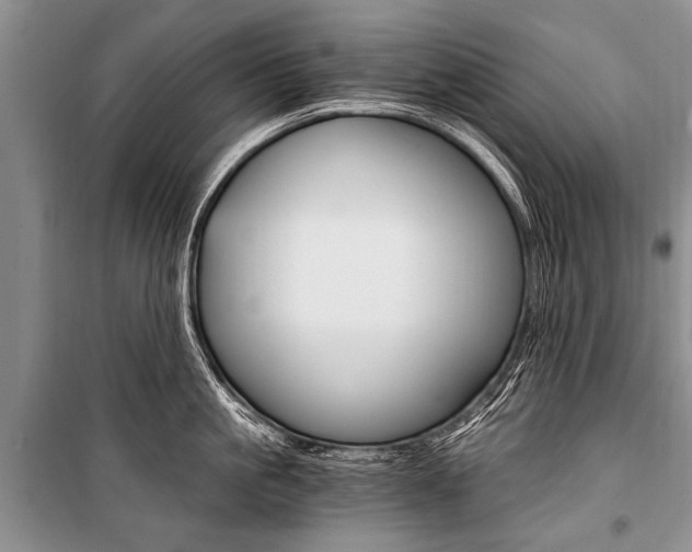 X0000101110861200806261107