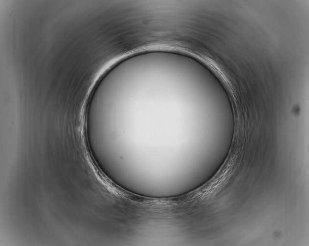 X0000101110862200806261107