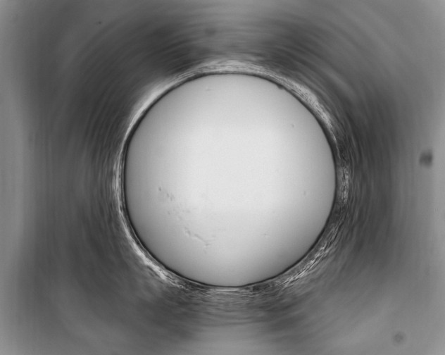 X0000101110863200806261107