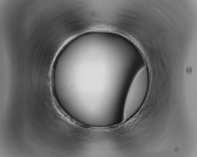 X0000101110864200806261107