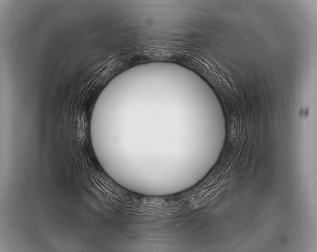 X0000101110866200806261106
