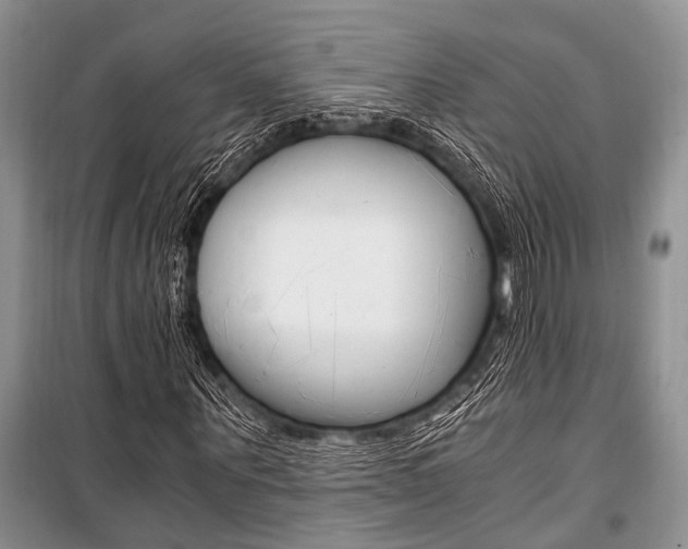 X0000101110867200806261106