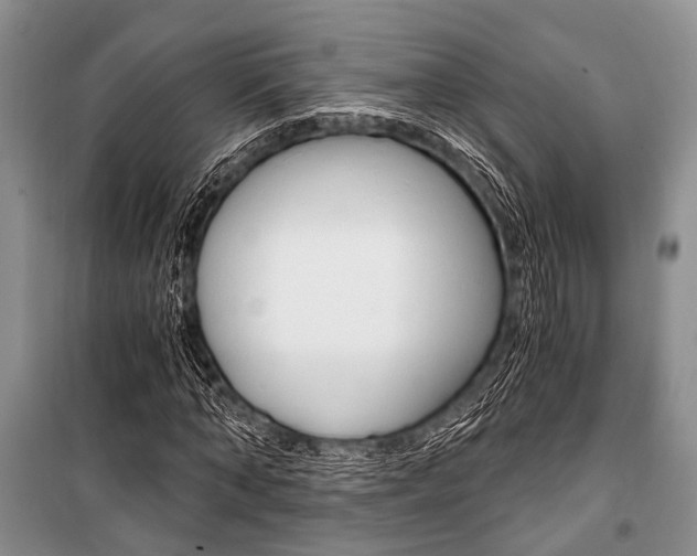 X0000101110870200806261106