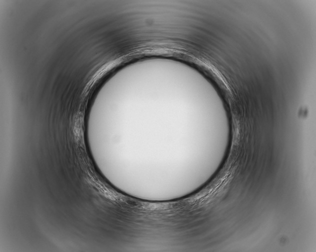 X0000101110874200806261106