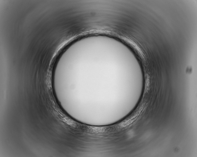 X0000101110878200806261106