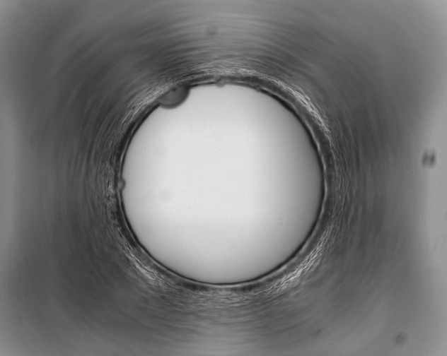 X0000101110881200806261106