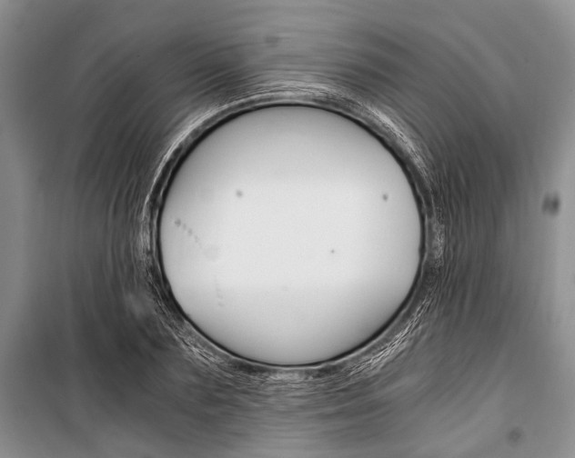 X0000101110883200806261106