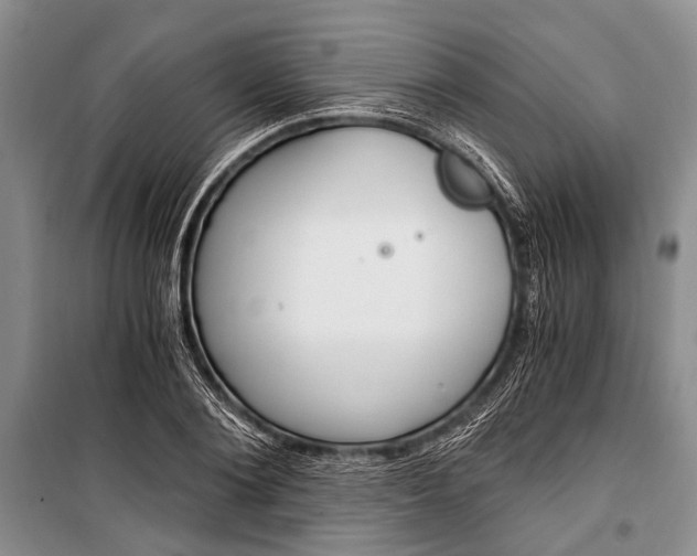 X0000101110884200806261106