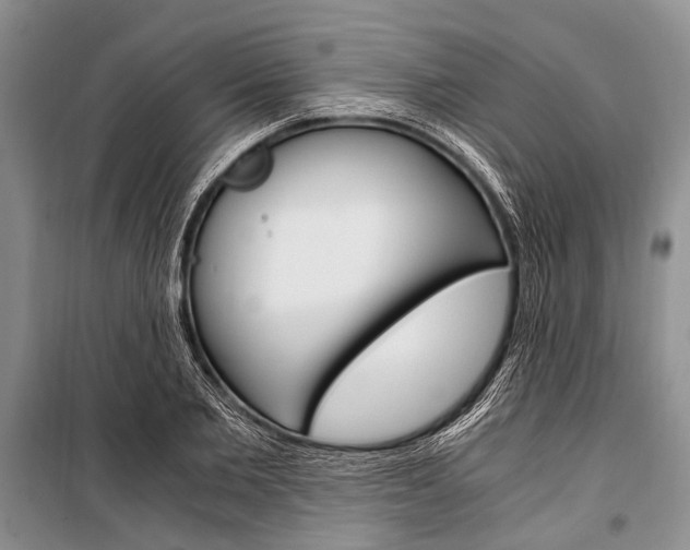 X0000101110885200806261106