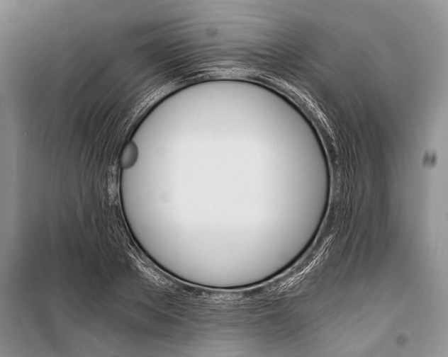 X0000101110889200806261106