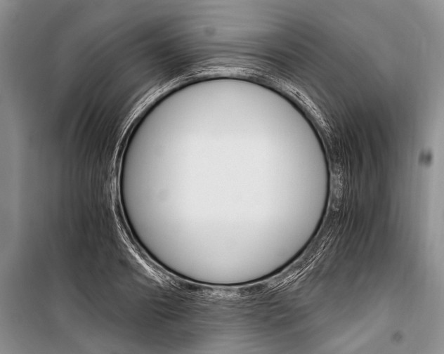 X0000101110890200806261106
