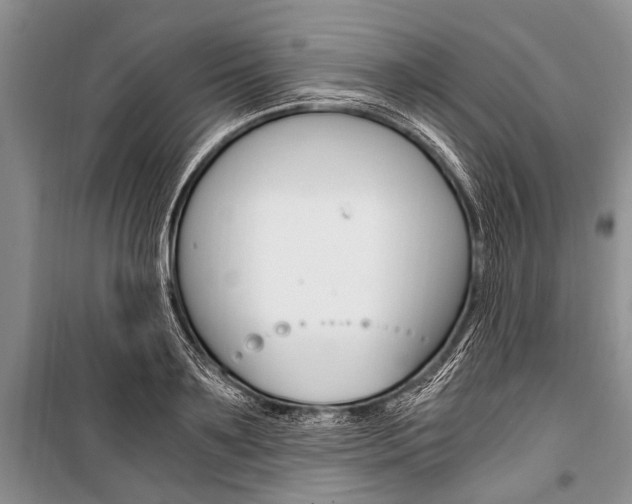 X0000101110891200806261106