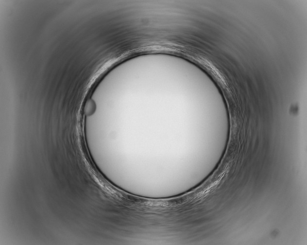 X0000101110893200806261106