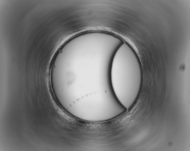 X0000101110895200806261106