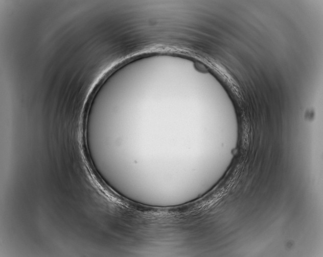X0000101110896200806261106