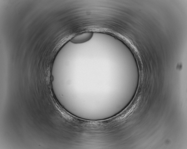 X0000101110897200806261106