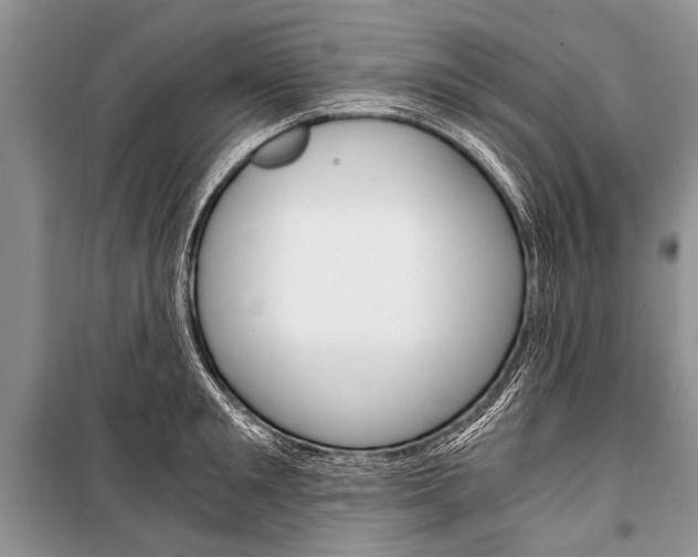 X0000101110901200806261106