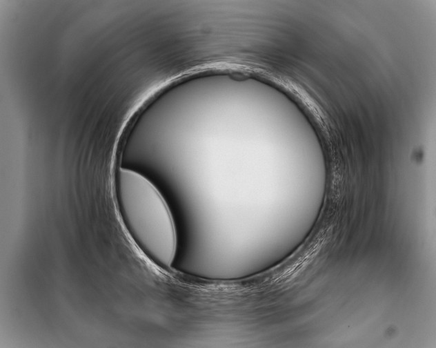 X0000101110902200806261106