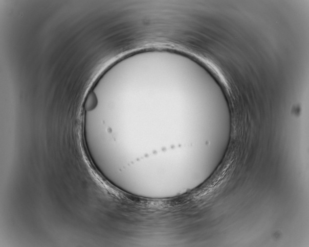 X0000101110903200806261106