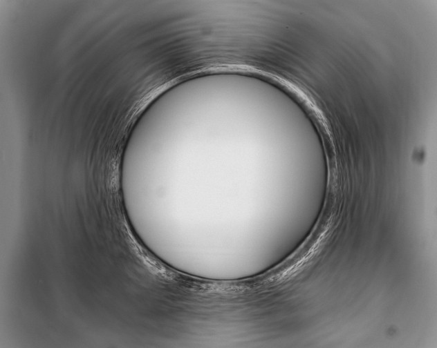X0000101110905200806261106