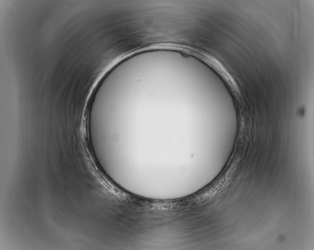 X0000101110908200806261106