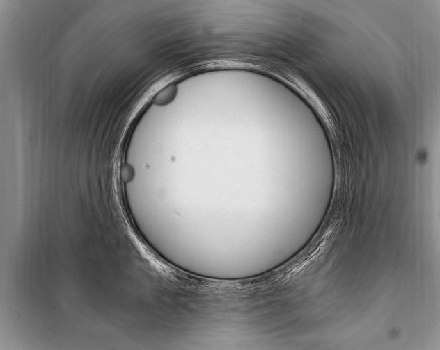 X0000101110909200806261106