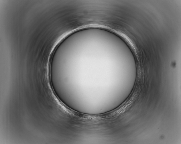 X0000101110910200806261106