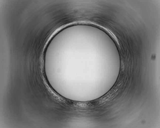 X0000101110911200806261106