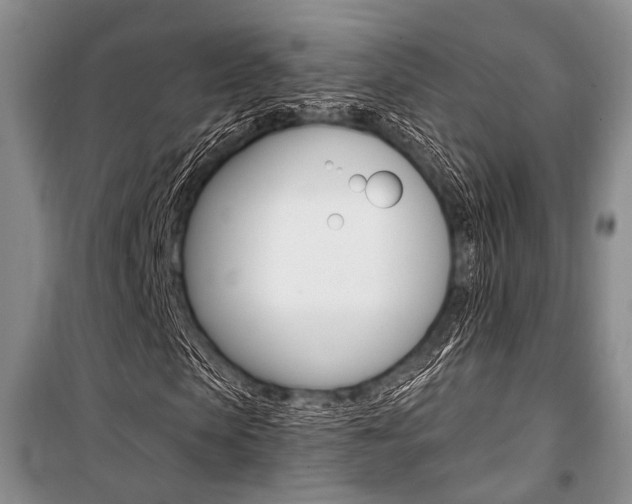 X0000101110913200806261105