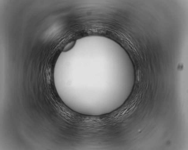 X0000101110915200806261105