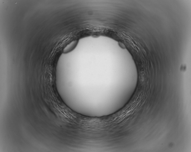 X0000101110916200806261105