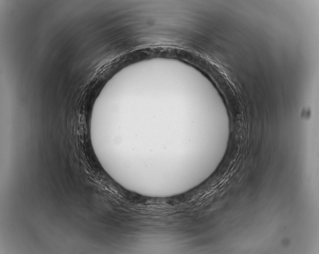 X0000101110918200806261105