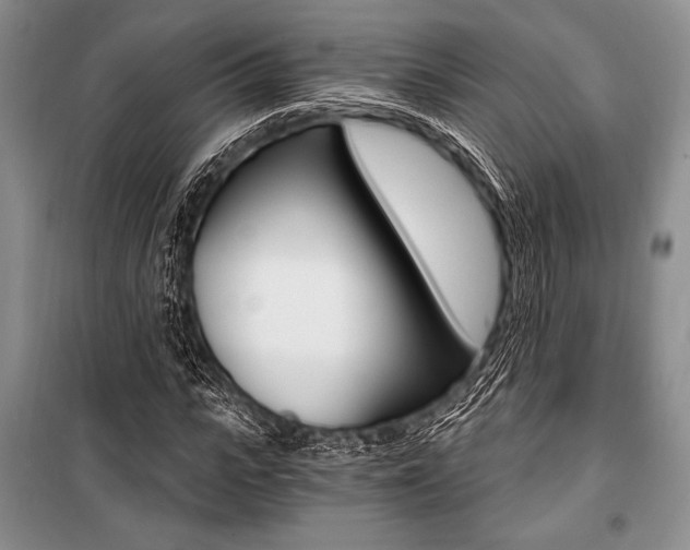 X0000101110919200806261105