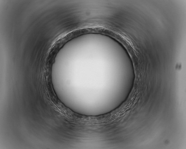 X0000101110920200806261105