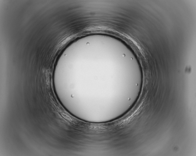 X0000101110921200806261105