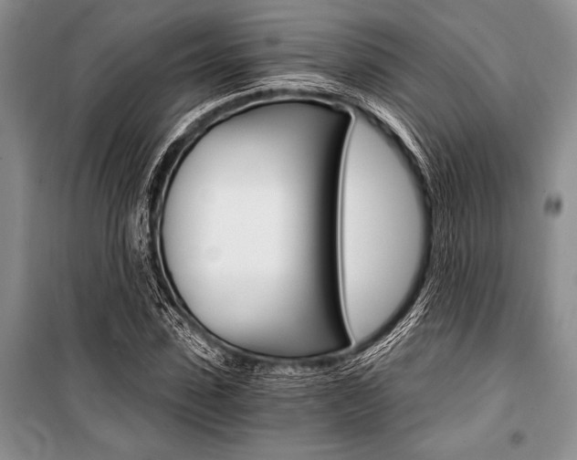 X0000101110923200806261105