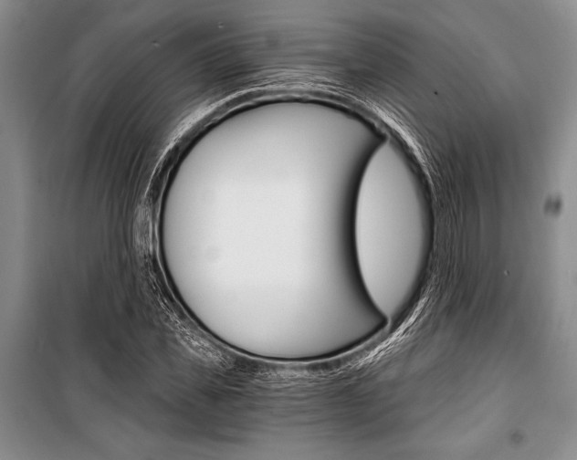 X0000101110925200806261105