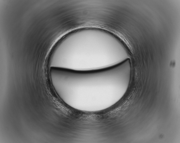 X0000101110926200806261105